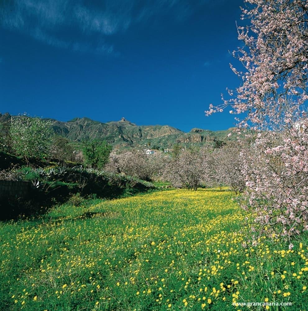 Hotel Cortijo San Ignacio El Cortijo  Zewnętrze zdjęcie