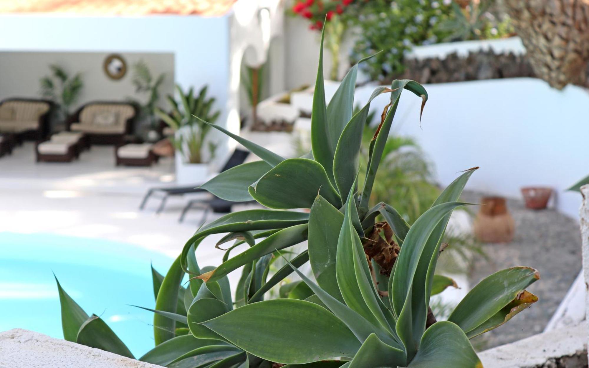 Hotel Cortijo San Ignacio El Cortijo  Zewnętrze zdjęcie