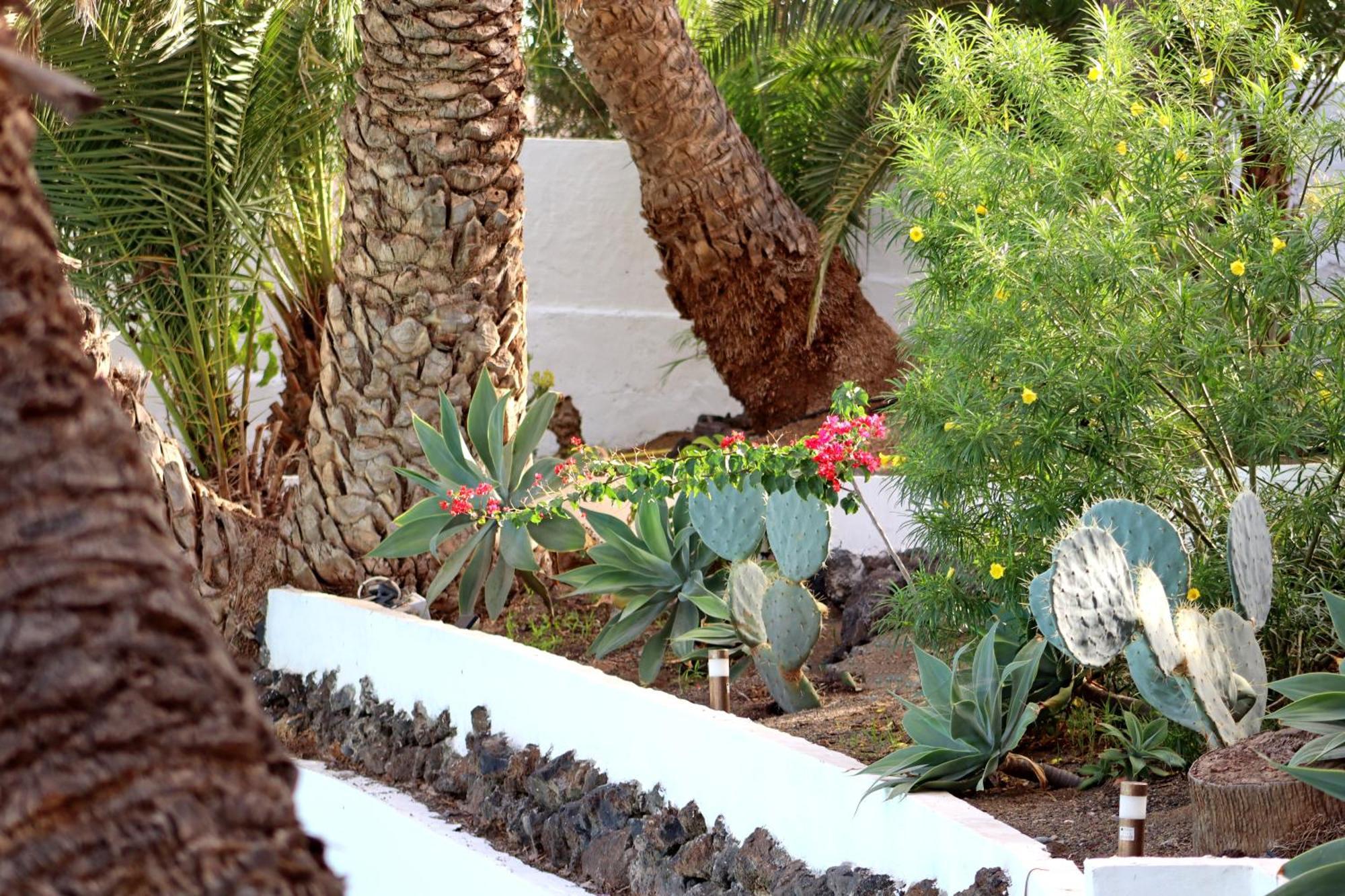 Hotel Cortijo San Ignacio El Cortijo  Zewnętrze zdjęcie