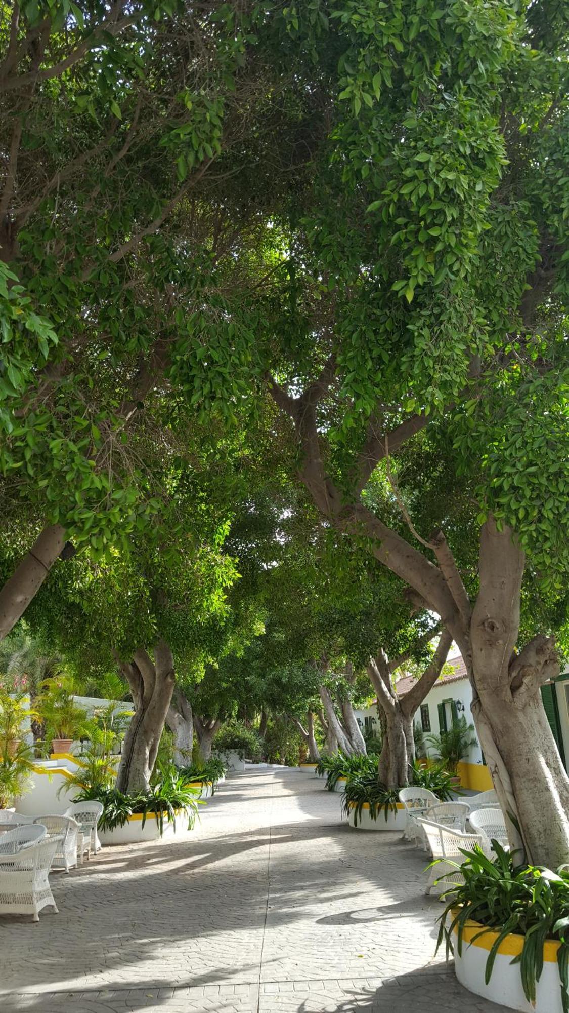 Hotel Cortijo San Ignacio El Cortijo  Zewnętrze zdjęcie