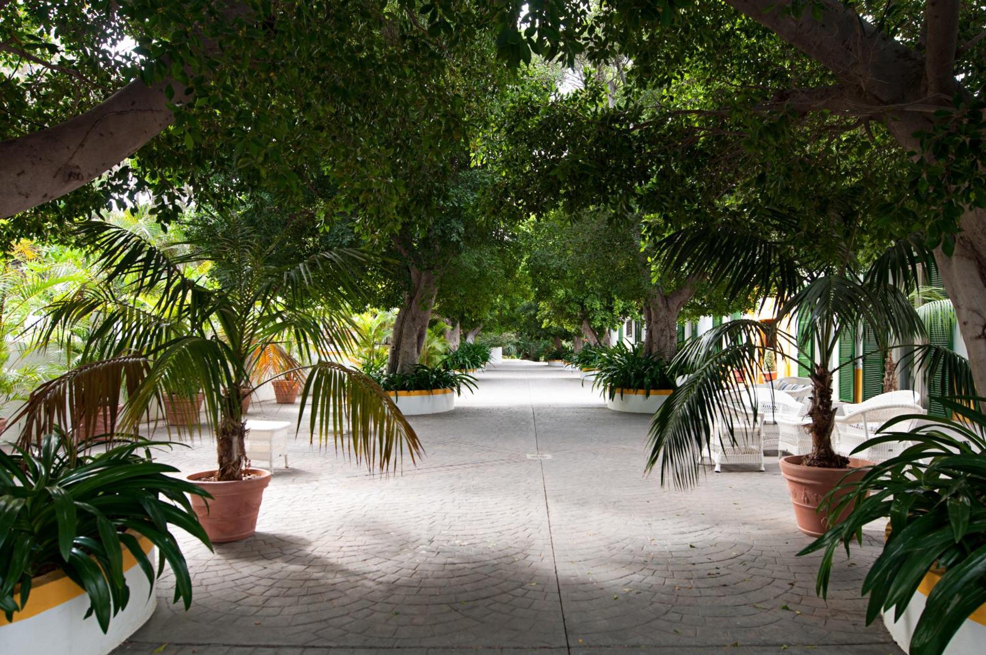 Hotel Cortijo San Ignacio El Cortijo  Zewnętrze zdjęcie